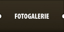 Fotogalerie