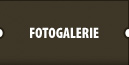 Fotogalerie